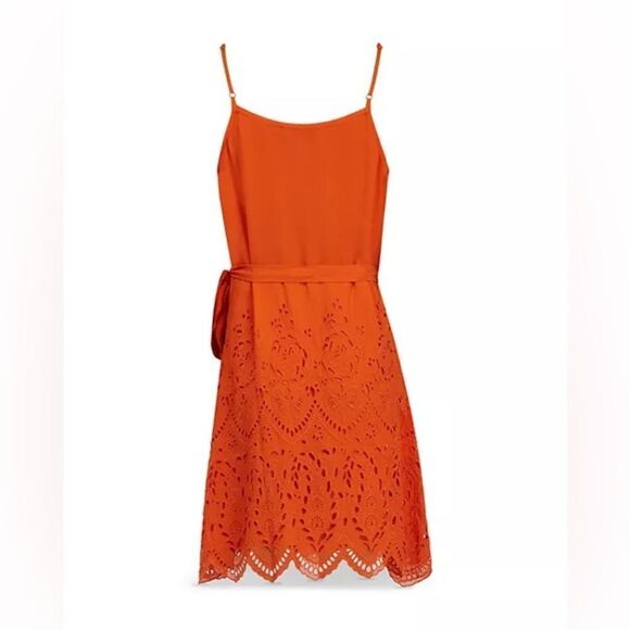 Allsaints Zariah Lace Skirt Dress - Picture 3 of 8